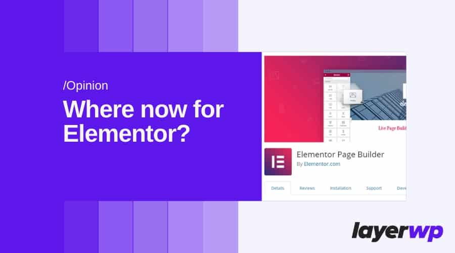 What Is The Future For Elementor?